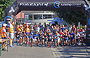 %_tempFileName180915_kaes-poussins-03%