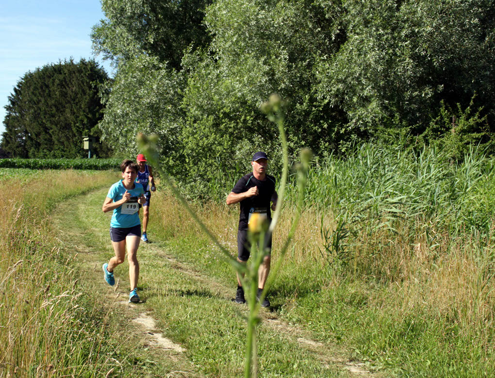 %_tempFileName180623_courses-nature-333%