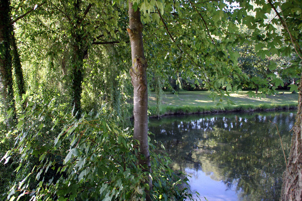%_tempFileName180623_courses-nature-562%