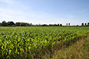 %_tempFileName180623_courses-nature-235%