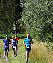 %_tempFileName180623_courses-nature-246%