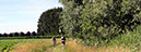 %_tempFileName180623_courses-nature-287%