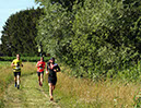 %_tempFileName180623_courses-nature-338%