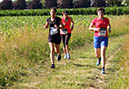 %_tempFileName180623_courses-nature-425%