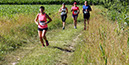 %_tempFileName180623_courses-nature-496%