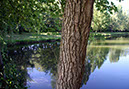 %_tempFileName180623_courses-nature-561%