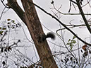 %_tempFileName2101128_Ambiance107%