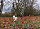 %_tempFileName2101128_CN-Course243%
