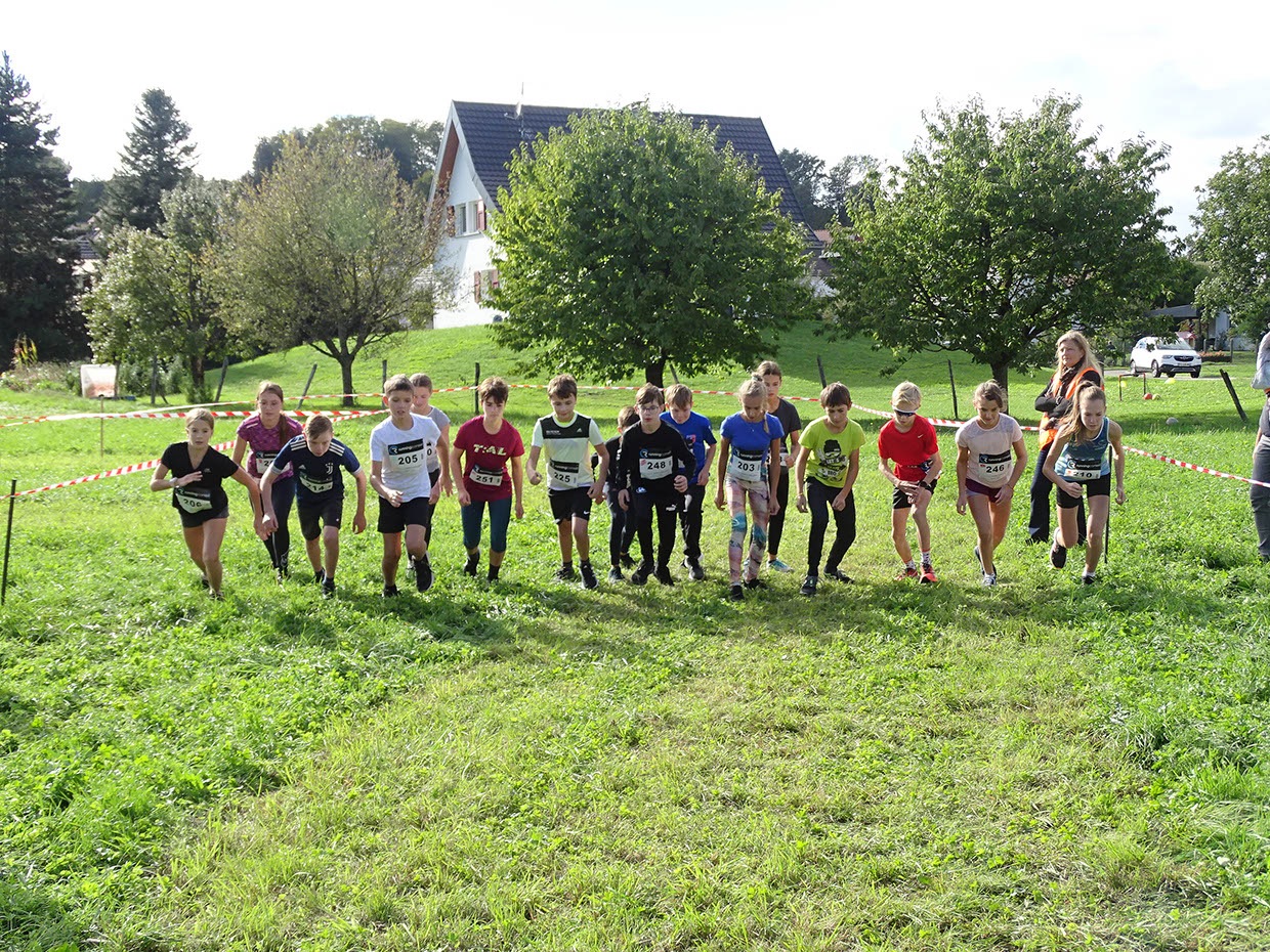 %_tempFileName220917_04-benjamains-minimes-04%